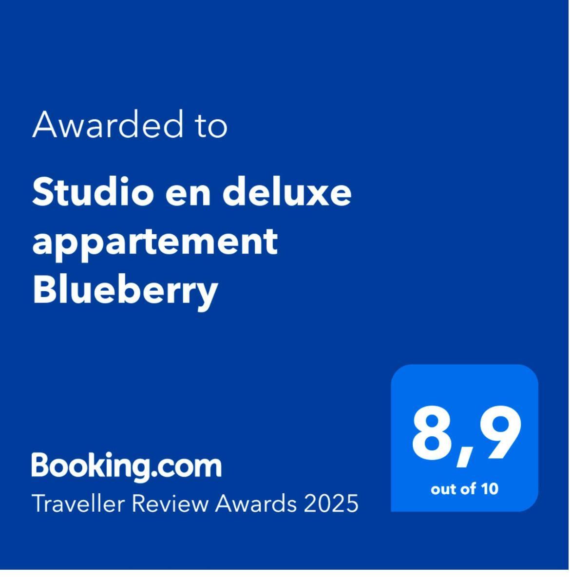 Studio En Deluxe Appartement Blueberry Zandvoort Exterior photo